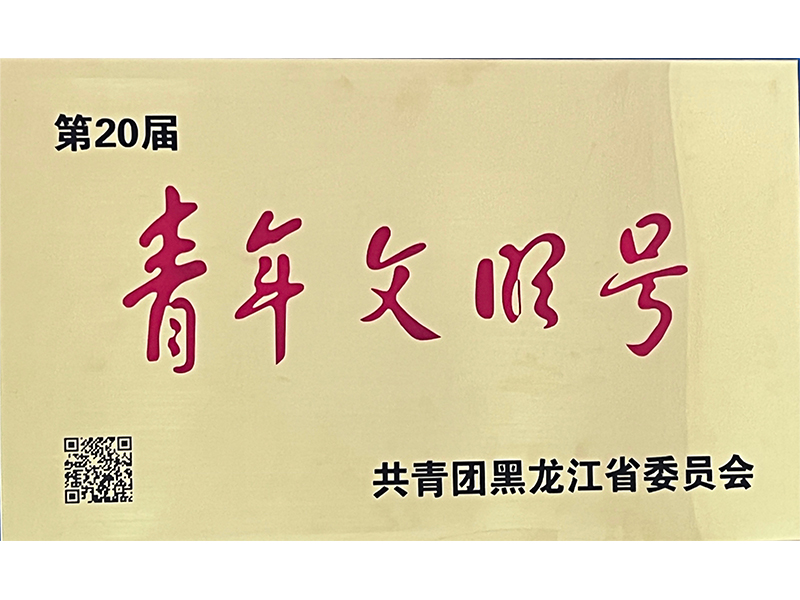 省级青年文明号